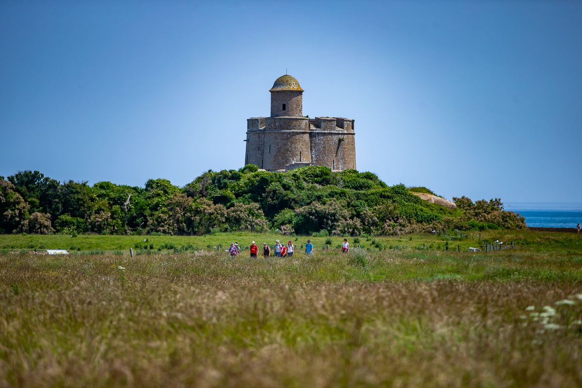 La tour Vauban sur sa butte, au-dessus des prairies de l'île